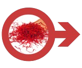 अश्वगंधा